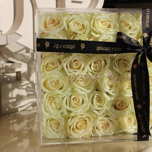 قولدن روز (Golden Rose)